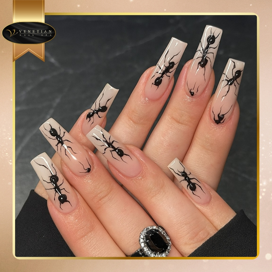 Venetian Nail Spa in Wesley Chapel, FL 33543